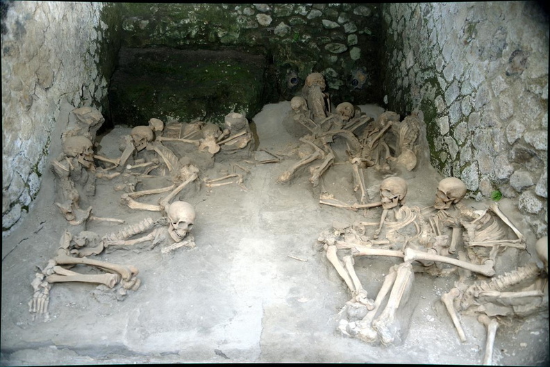 skeletons_docks_herculaneum_19oct17zac.jpg