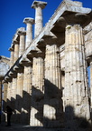 temple of hera II paestum 19oct17zec