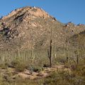 saguaro national park tucson 28dec17zac