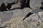graffiti saguaro national park 28dec17a