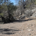 gulch_saguaro_national_park_28dec17a.jpg