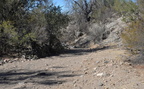 gulch saguaro national park 28dec17a