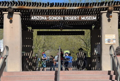 desert museum 28dec17a