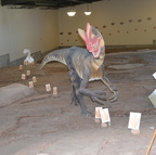dinosaur museum st.george 31dec15h