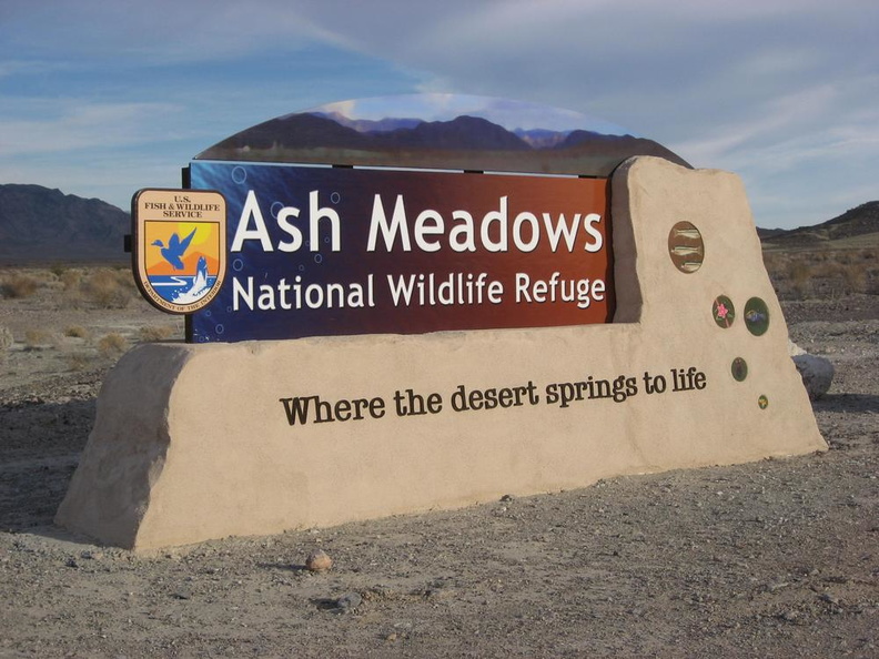 ash meadows2