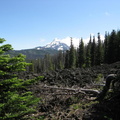 view from trail dee wright