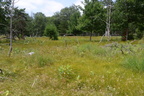 farm 7jul15a