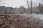 farm middle40 28dec18h