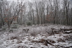 farm middle40 28dec18i