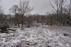 farm back40 28dec18l