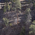 view cliff dwelling gila national forest 18dec18u