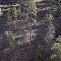 view_cliff_dwelling_gila_national_forest_18dec18u.jpg