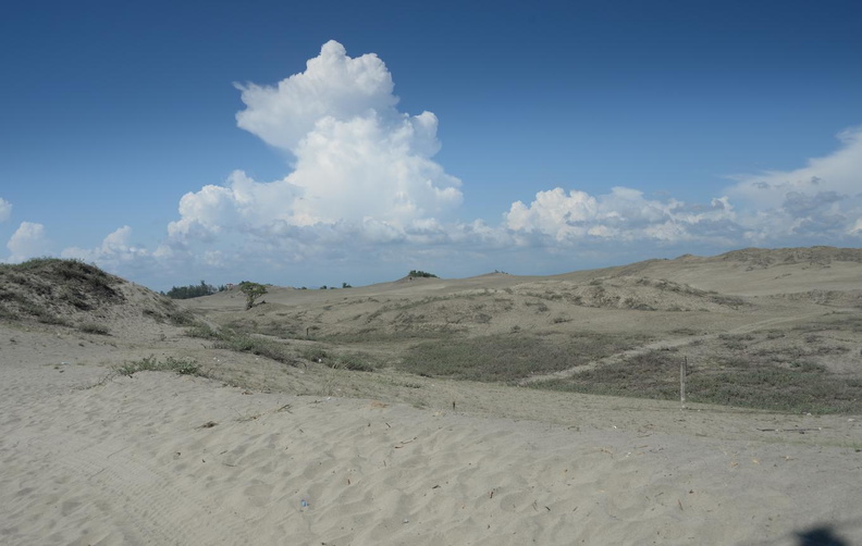 paoay sand dunes 22may19a