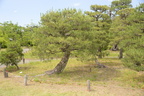 shosei-en garden kyoto 29may19a