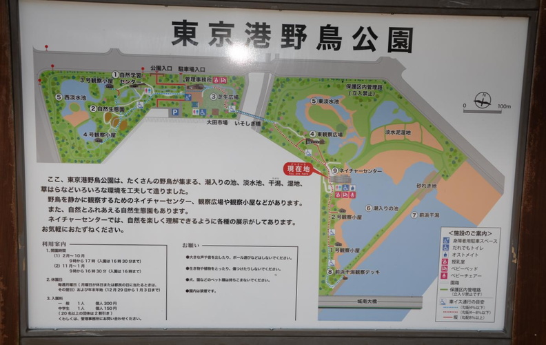 map_wildbird_park_tokyo_30may19.jpg