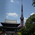 jojoji temple tokyo tower 30may19a
