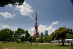 tokyo tower 30may19a