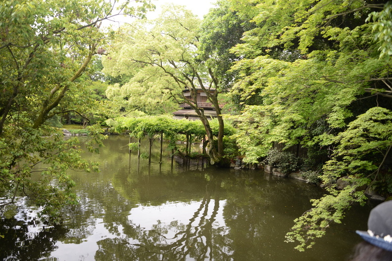 pond_kyoto_gyoen_national_garden_29may19.jpg