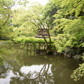 pond_kyoto_gyoen_national_garden_29may19.jpg