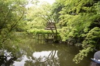 pond kyoto gyoen national garden 29may19