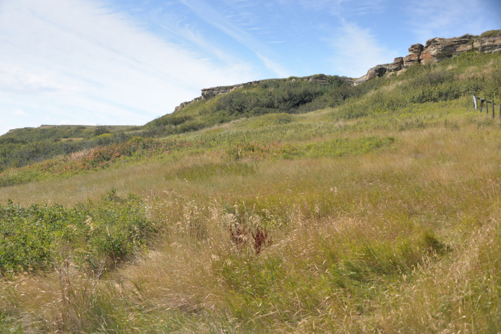 southwest head-smashed-in-buffalo-jump 1sep19a