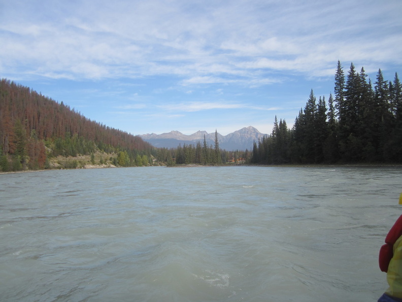 from_raft_athabasca_river_jasper_7241_6sep19.jpg
