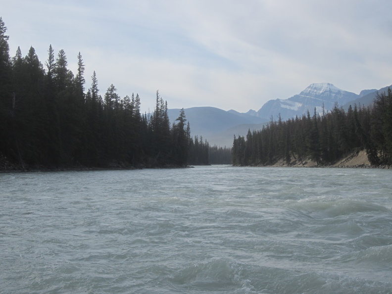 from_raft_athabasca_river_jasper_7256_6sep19.jpg