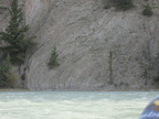from raft athabasca river jasper 7278 6sep19