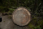 unknown log spahats falls 3528 7sep19
