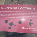 dinosaur_sign_royal_bc_museum_4164_10sep19.jpg