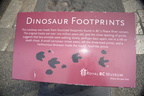 dinosaur sign royal bc museum 4164 10sep19