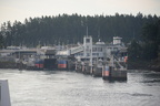 tsawwassen ferry terminal victoria 4194 11sep19