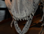 resin tyrannosaurus rex drumheller 1638 31aug19za
