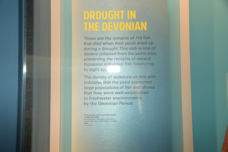 sign_drought_devonian_drumheller_1641_31aug19.jpg