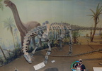 camarasaurus drumheller 1636 31aug19zac
