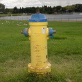 fire hydrant hawrelak park edmonton 0766 26aug19