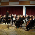 reston community orchestra 2nov19zbc
