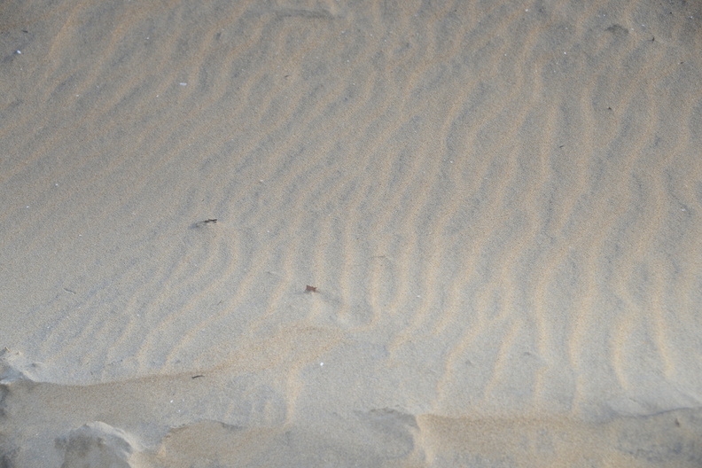 ripples sand virginia beach 7776 5dec19