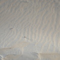 ripples_sand_virginia_beach_7776_5dec19.jpg