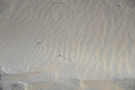 ripples sand virginia beach 7776 5dec19