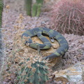 rattlesnake_24dec15.jpg