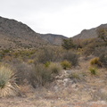 guadalupe_mountains_1122_17dec18.jpg
