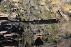 charred tree echo canyon trail 2307 chiricahua 20dec18