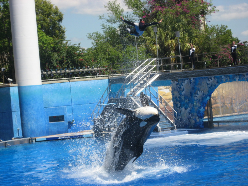 sea_world_florida_2128_10apr08.jpg