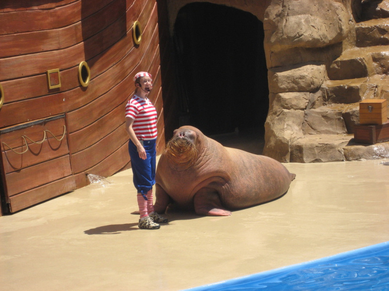 sea_world_florida_2136_10apr08.jpg