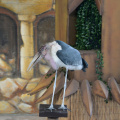 unknown stork jungle island 6078 20oct19