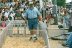 pig race umpire state fair 019 16 26aug01a