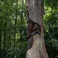 carved tree bears den 9684 30jul20
