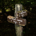 sign_limberlost_trail_9451_29jul20.jpg