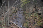 creek limberlost trail 1380 23oct20